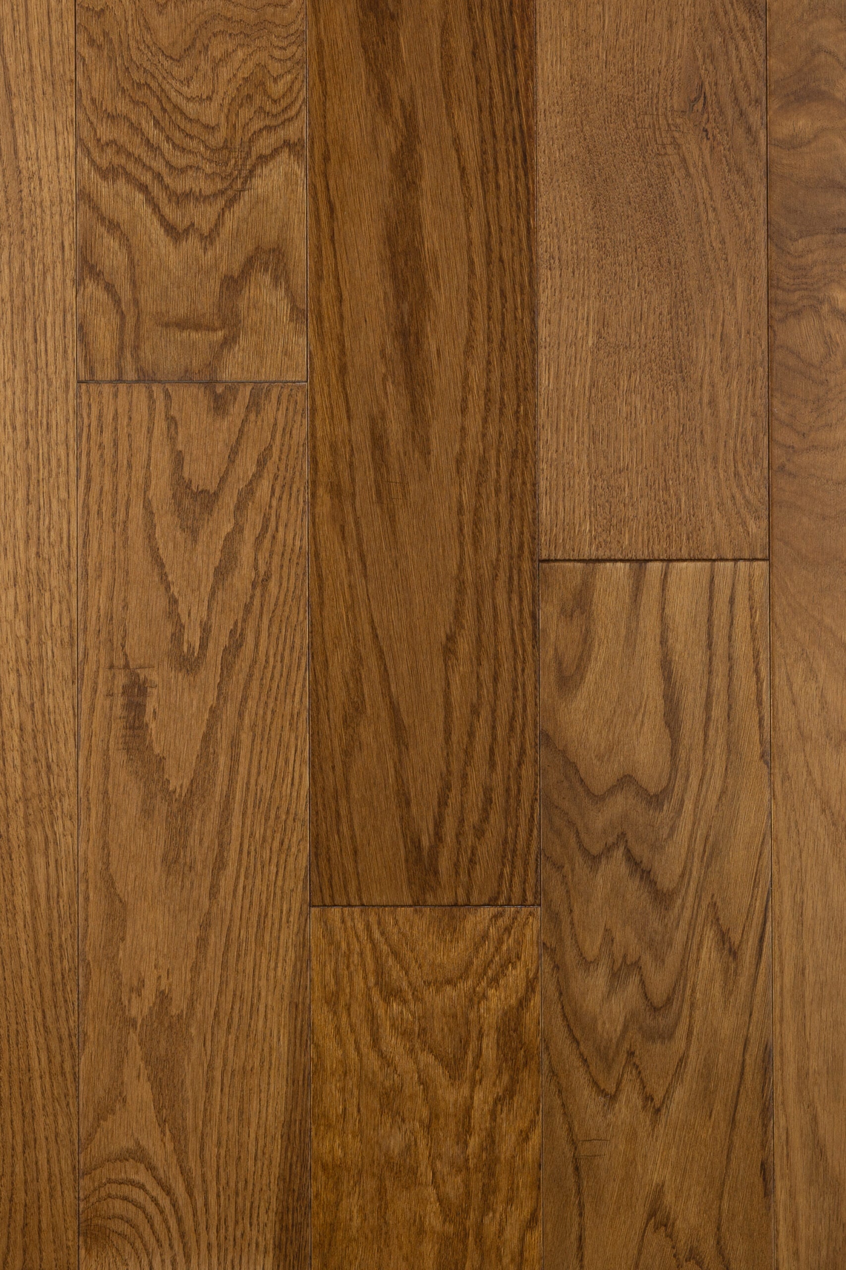 18x130 Golden UV Cured Lacquer Solid Oak Flooring image 0