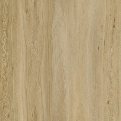 Raw Oak Waterproof LVT (Built-in Underlay) - 6.5(0.5)x228x1800 - SPCWL55